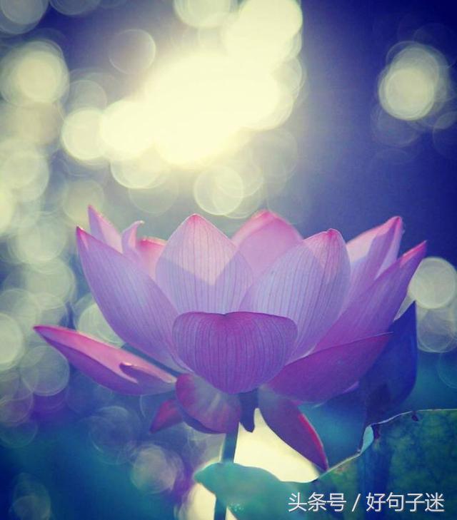 一句佛语点透人生（经典正能量修心的句子）