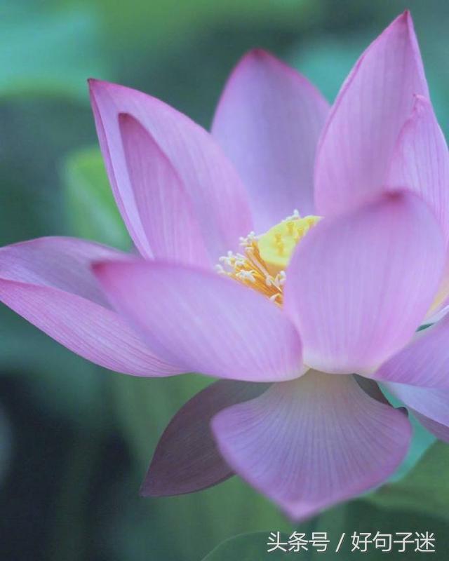 一句佛语点透人生（经典正能量修心的句子）