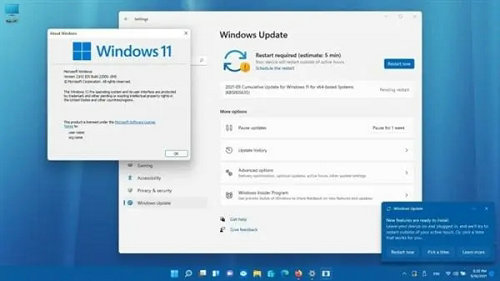 windows11有必要升级吗 windows11要不要升级