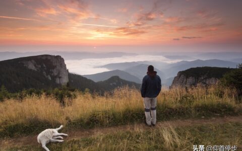 鲁滨逊漂流记好词好句摘抄（鲁滨逊漂流记阅读感想）