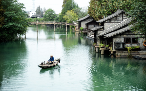 关于传统文化的名言（传统文化的代表名句）