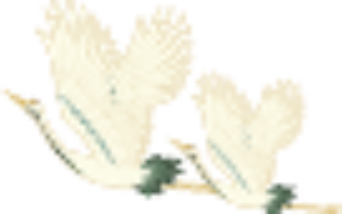 登高的诗句有哪些（9首关于登高的诗）