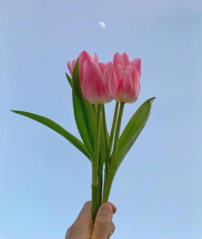 经典人生感悟句子精选（人生金句句句戳心）