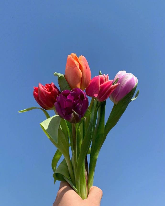 经典人生感悟句子精选（人生金句句句戳心）