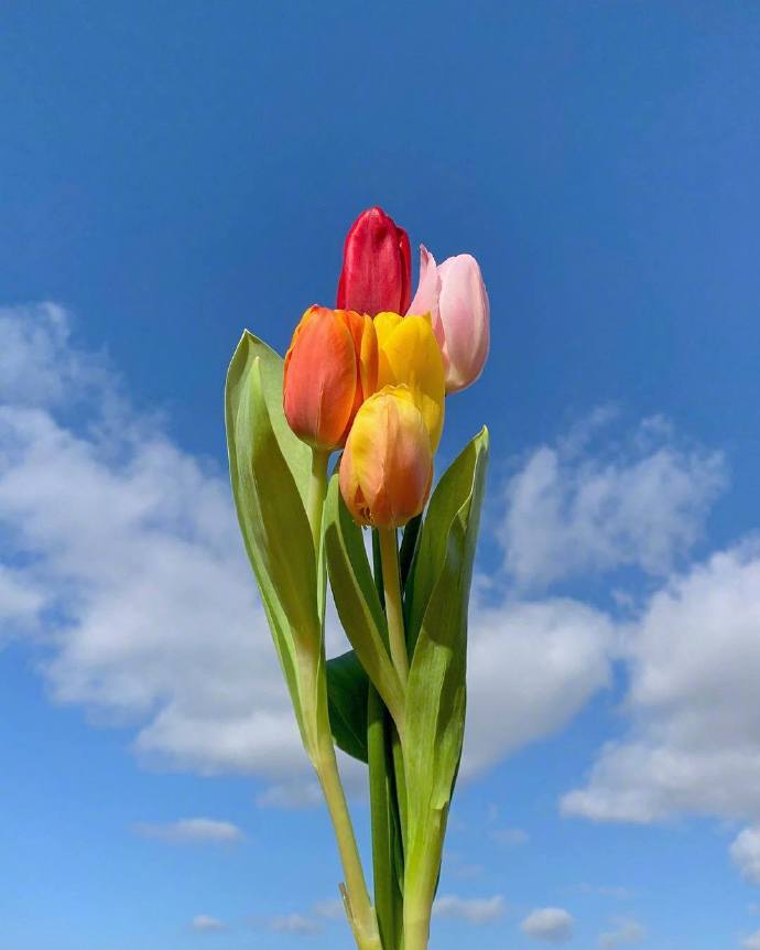 经典人生感悟句子精选（人生金句句句戳心）