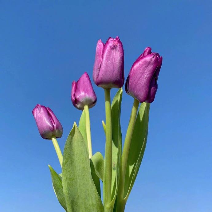 经典人生感悟句子精选（人生金句句句戳心）