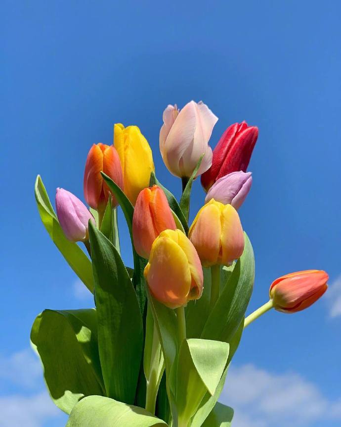 经典人生感悟句子精选（人生金句句句戳心）