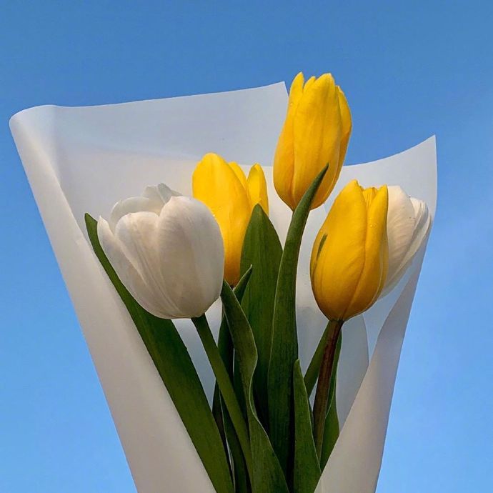 经典人生感悟句子精选（人生金句句句戳心）