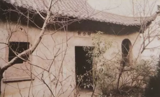 东山再起是谁的主人公（东山再起典故的故事）