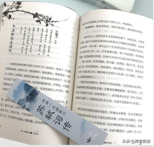 满江红辛弃疾全文（满江红背景及主旨）