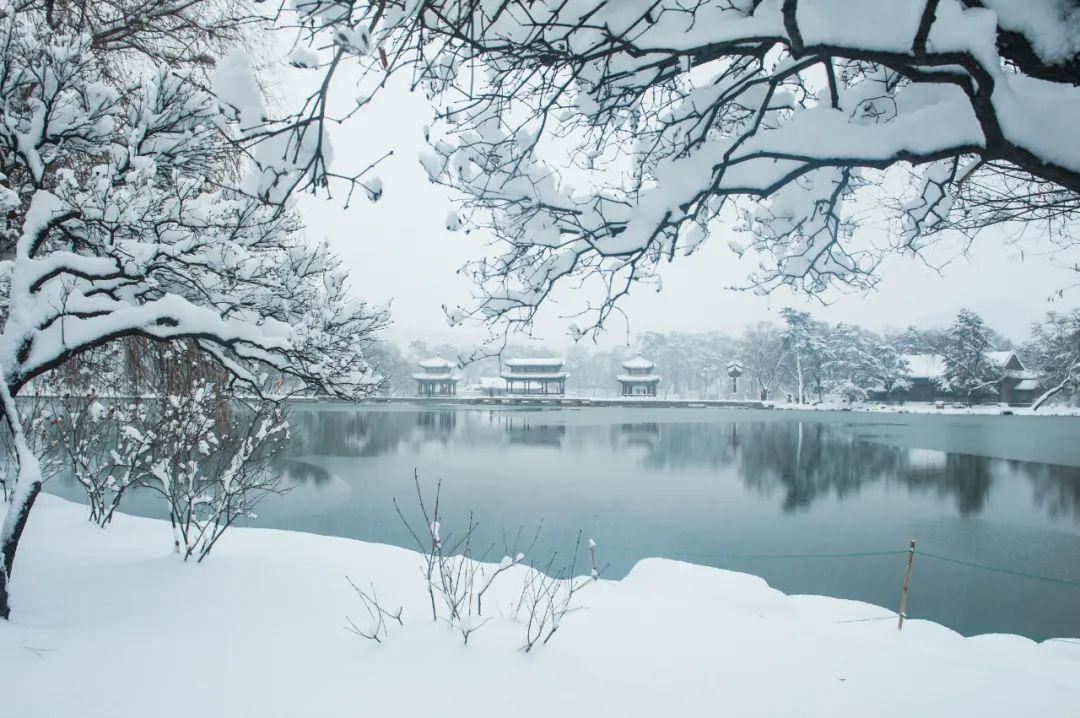 勉励学生求上进的诗句（激励学子们的金句名言）