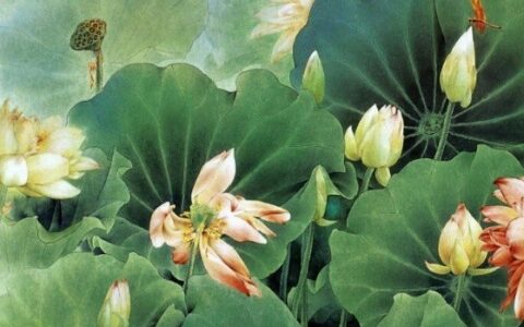 小升初古诗词大全必背（小升初必备语文古诗）