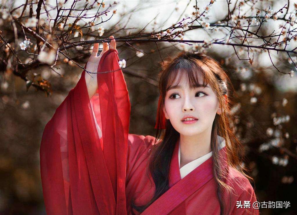 描写桃花的诗句古诗（关于桃花最出名的诗句）