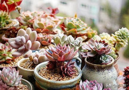 妈妈生日祝福语朋友圈文案（适合妈妈生日发的简短语句）