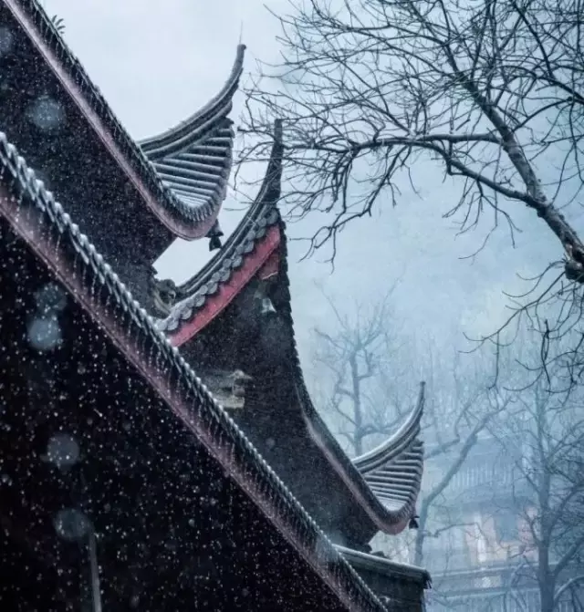 形容努力奋斗的诗句（努力终有回报的美句）