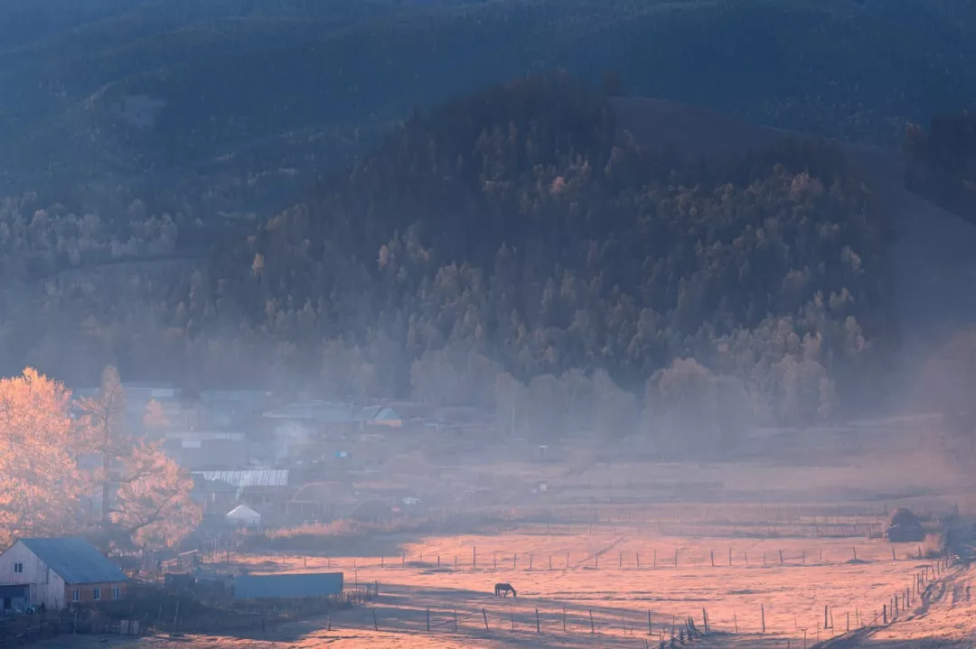 有关读书的古诗大全（关于爱看书的诗句古诗）