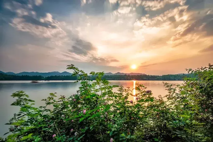 描写少年的诗句有哪些（关于少年励志的诗句名言）