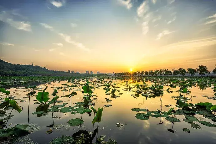 描写少年的诗句有哪些（关于少年励志的诗句名言）