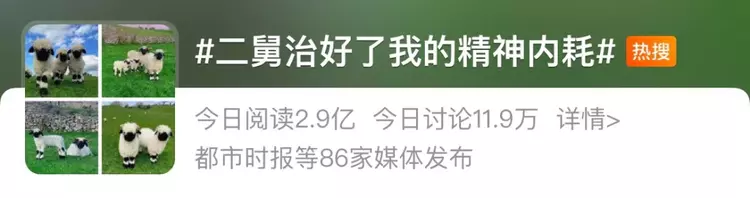 回村三天，二舅治好了我的精神内耗（一夜之间，二舅治愈了所有人）