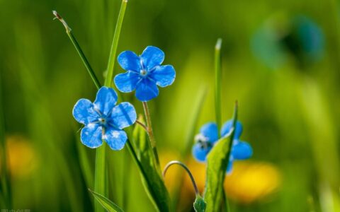 情书范文情书大全（简单朴实不肉麻的情书）