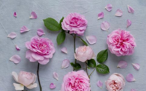 六一儿童节写一段话（六一儿童节祝福语分享）