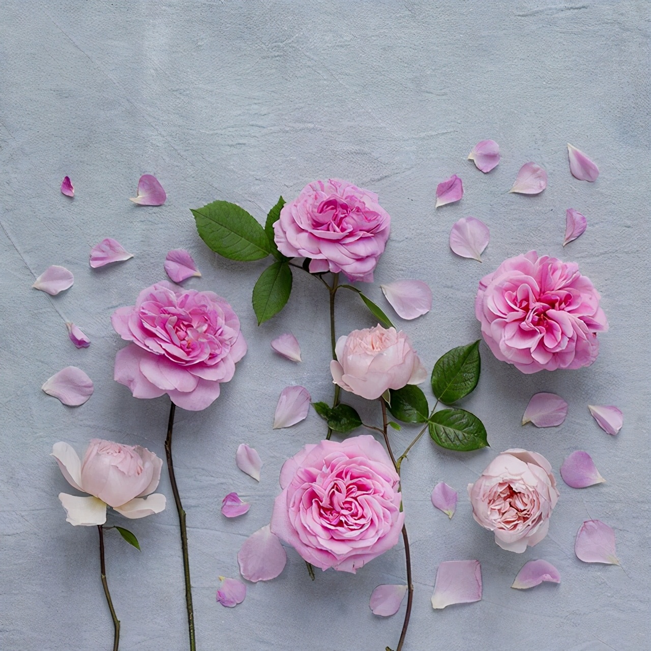 六一儿童节写一段话（六一儿童节祝福语分享）