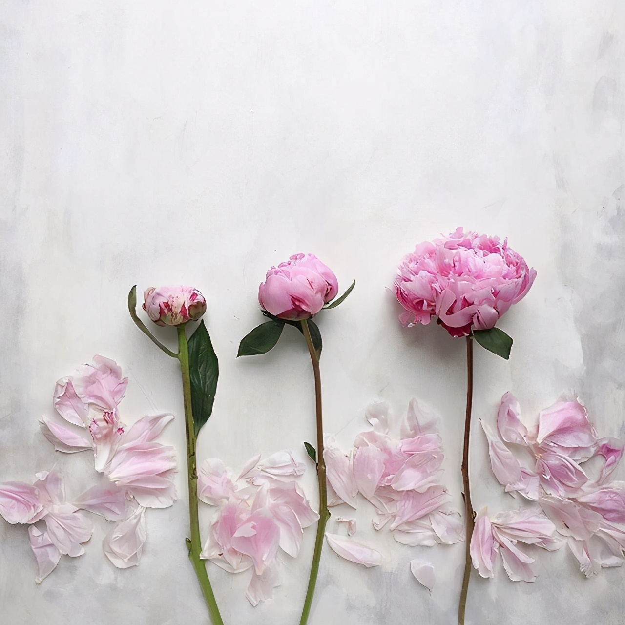 六一儿童节写一段话（六一儿童节祝福语分享）