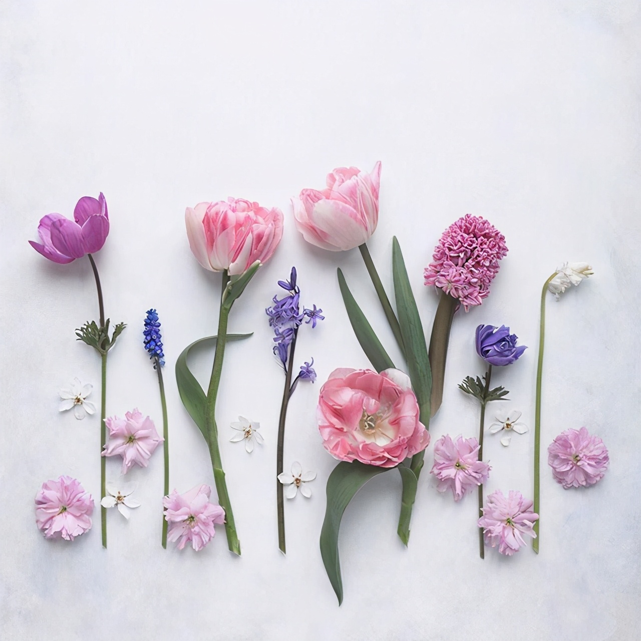 六一儿童节写一段话（六一儿童节祝福语分享）