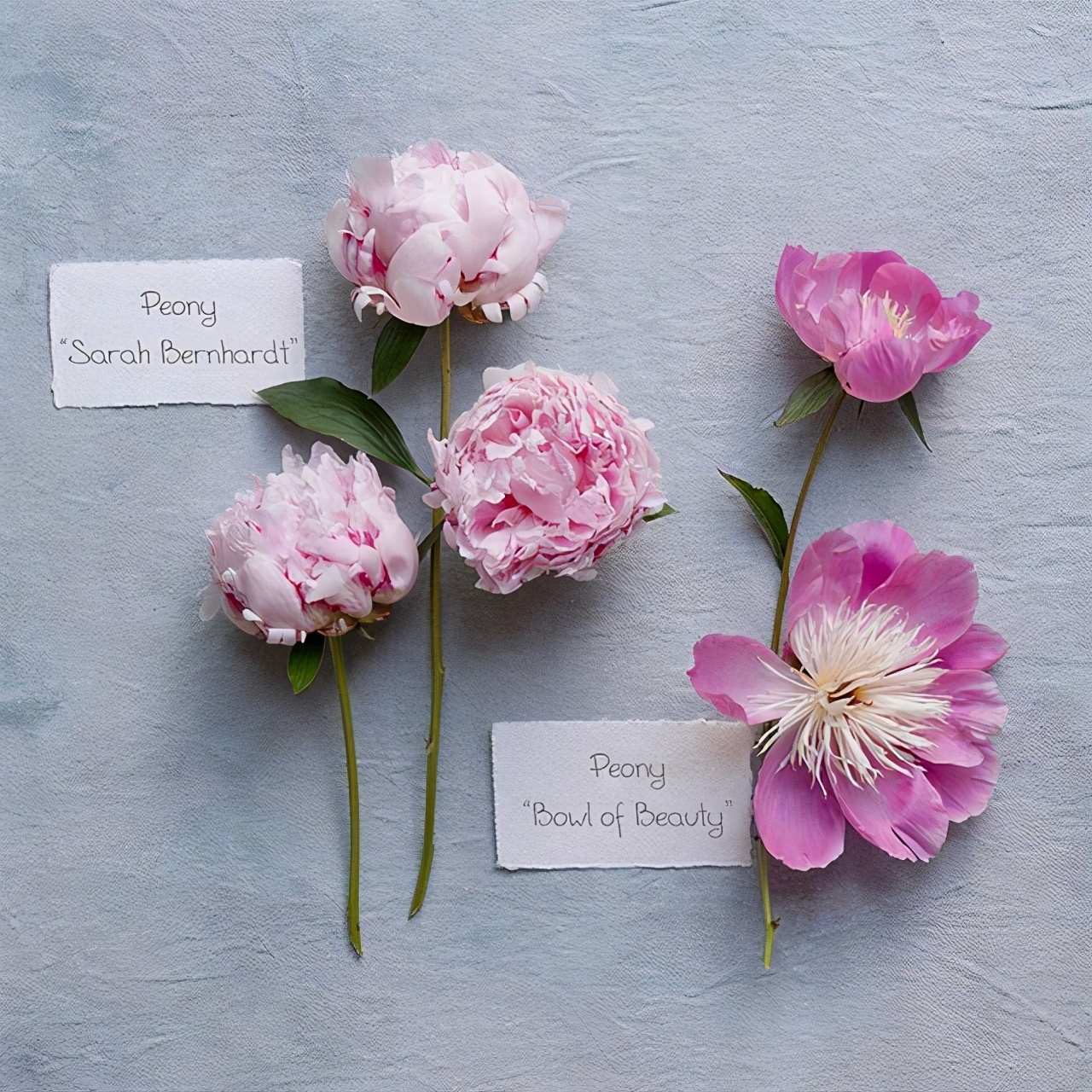 六一儿童节写一段话（六一儿童节祝福语分享）