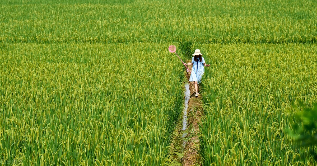 优美好句摘抄大全（三年级优美短句）