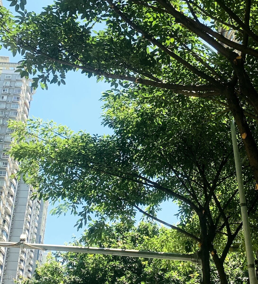 优美好句摘抄大全（三年级优美短句）