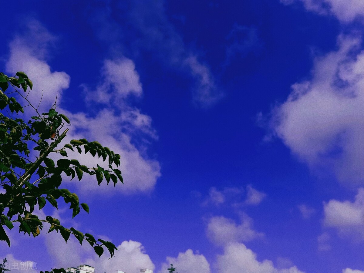 优美好句摘抄大全（三年级优美短句）