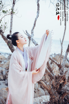 临江仙梦后楼台高锁翻译（临江仙晏殊梦后楼台高锁赏析）