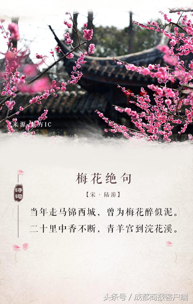 描写成都的诗句（赞美成都的七言绝句）