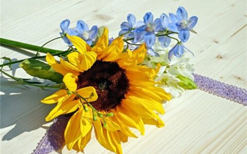 人生中犯错后的感悟的句子（人生感悟犯错的感悟的句子）