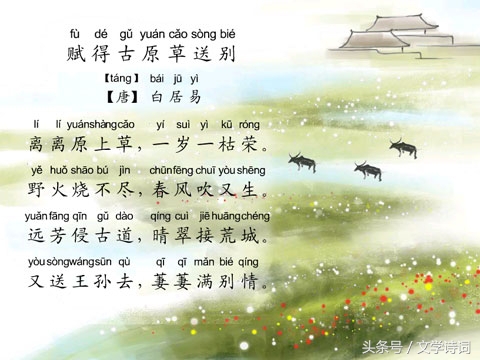 幼儿园唐诗必背100首（幼儿启蒙唐诗大全）