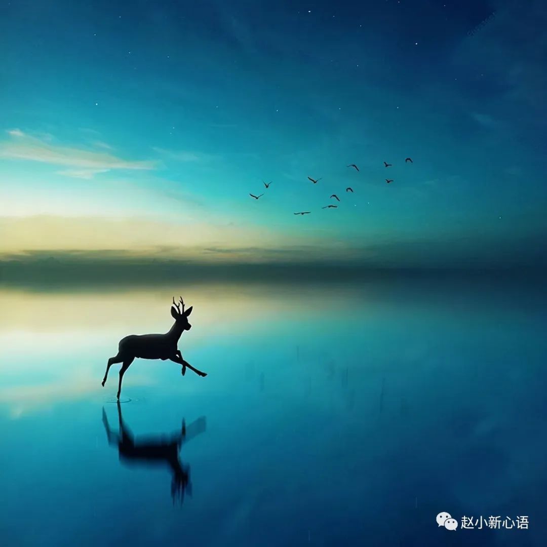 生活的句子说说心情（现实生活又很扎心的句子）