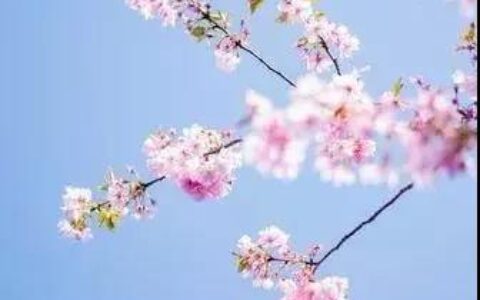 关于旅行的诗句有哪些（古人赞美旅行的诗句）