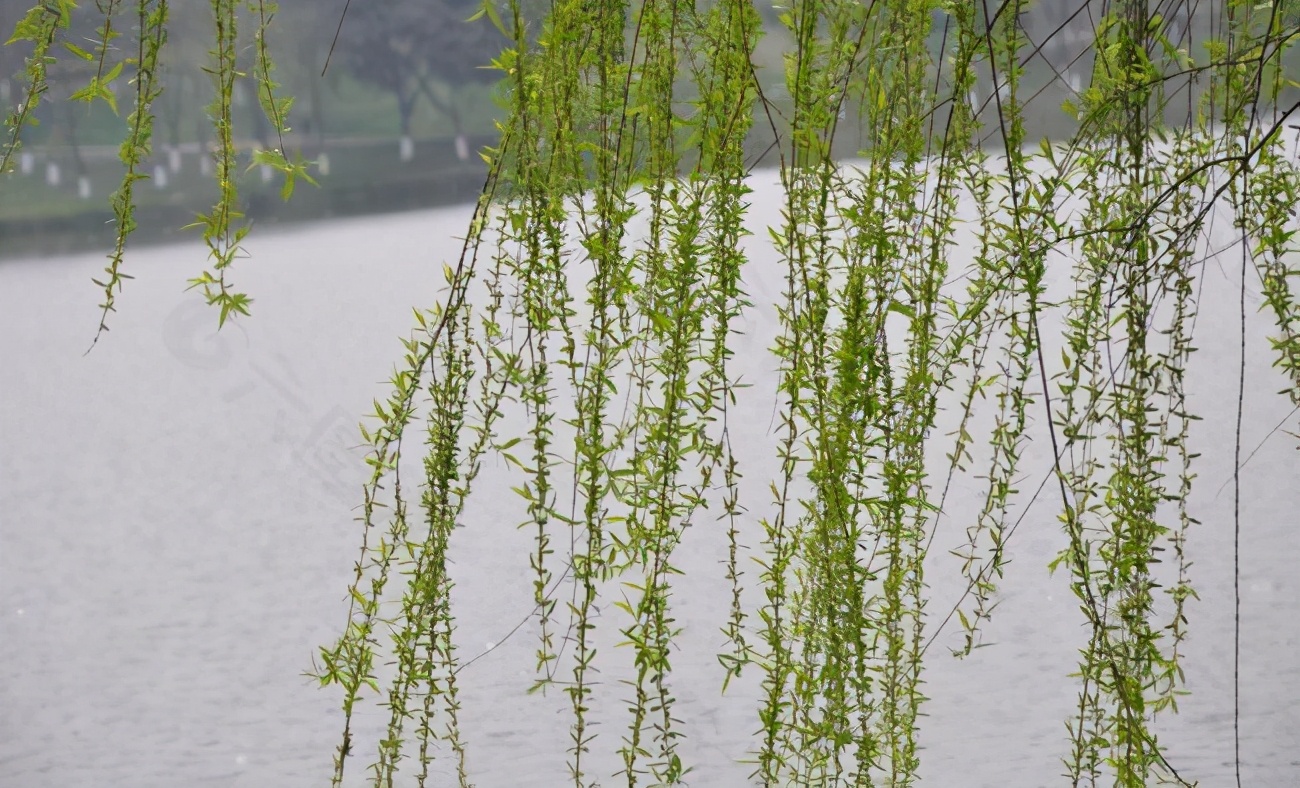 小学写景作文优秀范文（小学生优秀写景作文精品选）