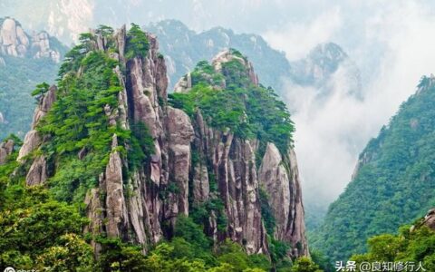 王维的鹿柴意境和意象（鹿柴古诗的意思及赏析）