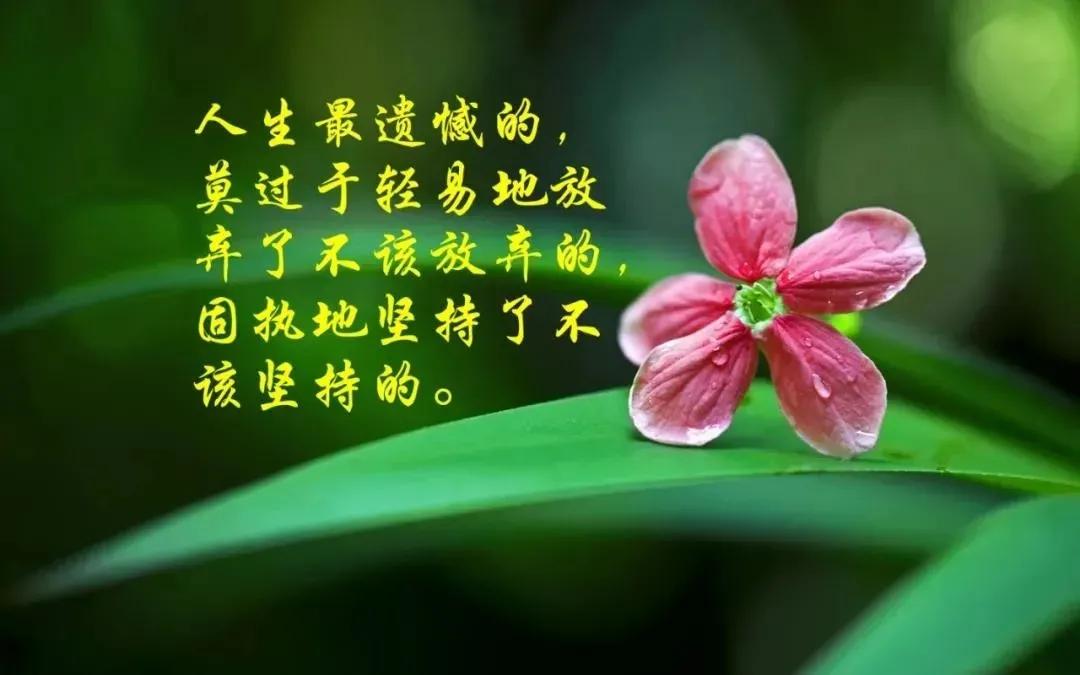 生活的句子说说心情（生活的苦感悟人生句子）
