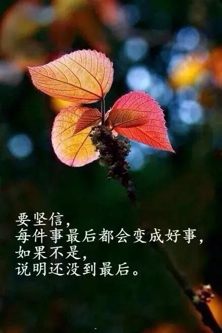 生活的句子说说心情（生活的苦感悟人生句子）