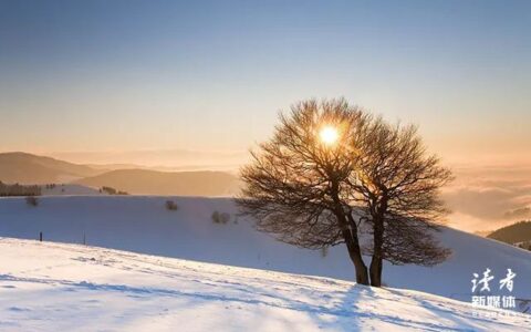 围城经典语录及赏析（围城经典段落摘抄感悟）