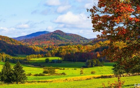 长安秋望古诗（长安秋望翻译）