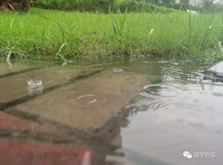 六月的诗句唯美（寓意好的六月古诗）