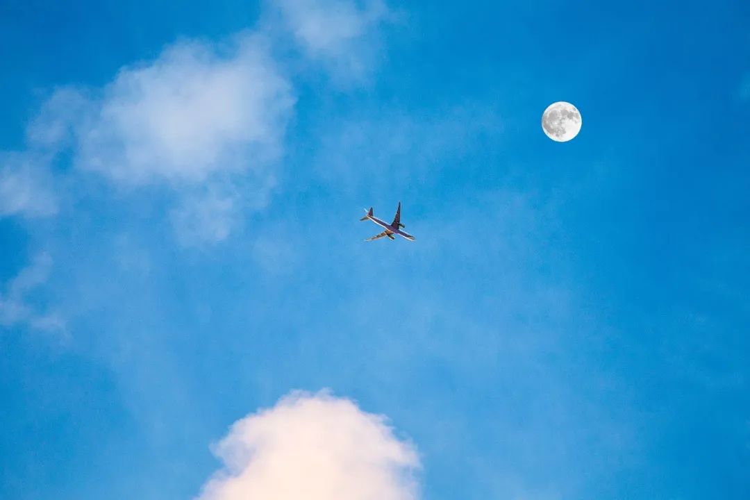 古诗静夜思的诗意是什么（静夜思古诗意思全解）