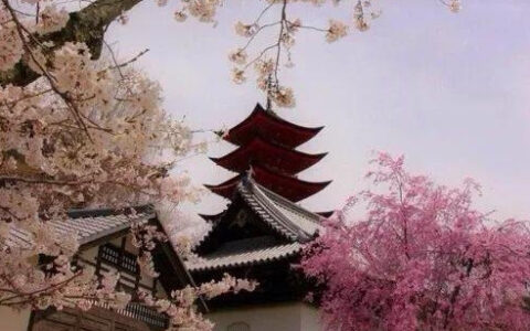 描写西湖的诗句古诗（最经典的十首西湖古诗）