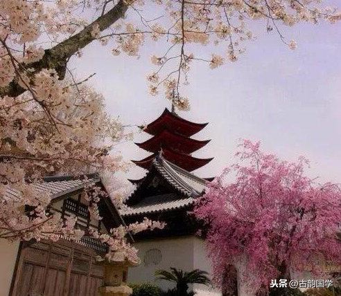 描写西湖的诗句古诗（最经典的十首西湖古诗）