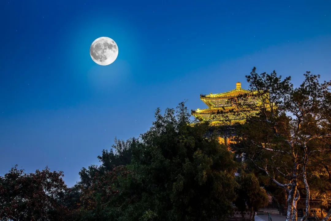 赞美月亮的诗句大全（关于月亮的浪漫句子）