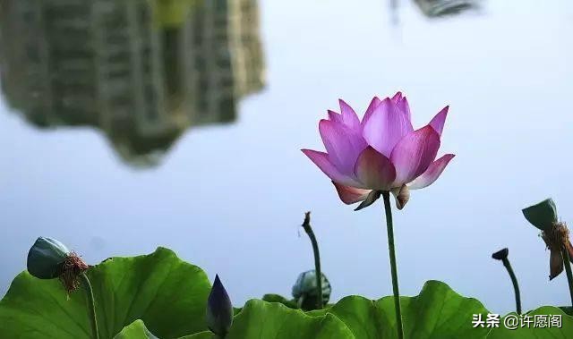 佛经中最有禅意的句子（20条充满禅意的经典名句）